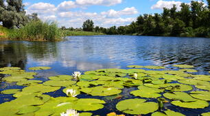Природні та штучні водойми. Охорона водойм