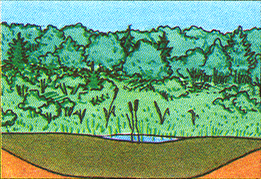 0200pejw-fd81-367x252.png