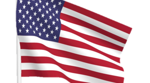  США.10 клас