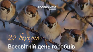 Всесвітній день горобця