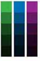 0200pgq1-51c1-170x258.png