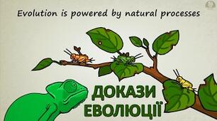 9 клас Докази еволюції