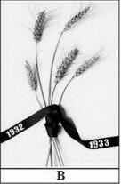 0200ph91-b60e-136x207.jpg