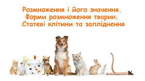  Розмноження тварин
