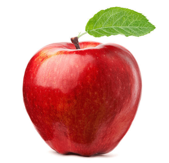 0200phcj-0623-641x618.png