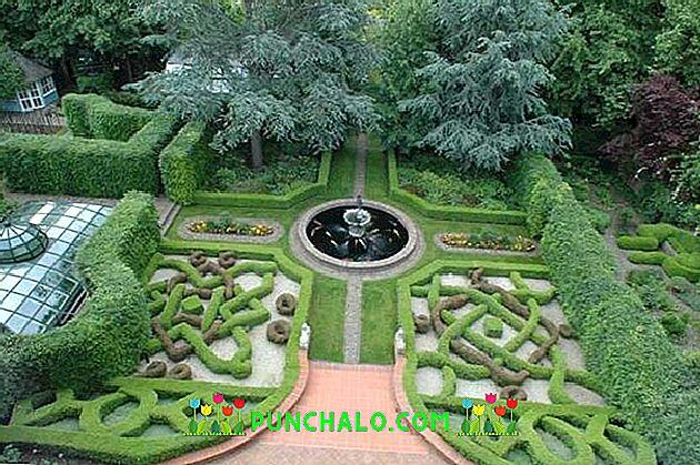 0200pilm-0e80-630x419.jpg