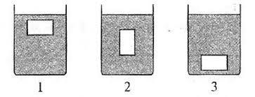 0200pktb-87b1-363x139.jpg