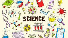 2 курс Science