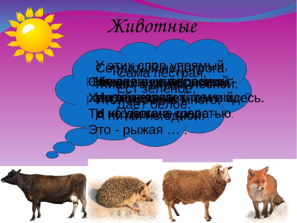 Домашние и дикие животные 2 класс окружающий. Животные для презентации. Дикие и домашние животные. Животные 2 класс. Дикие и домашние животные 2 класс окружающий мир открытый урок.