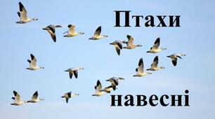 Додатковий матеріал - Птахи навесні