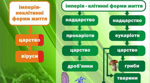 9-Б-Основи еволюційної систематики