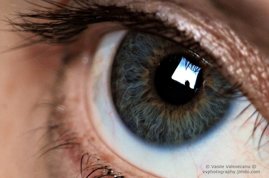 ochiul uman-fotografie macro | valesecanu.com