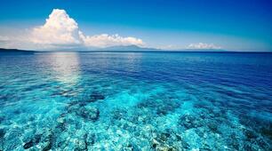 Течії в Світовому океані. Життя в морях та океанах.