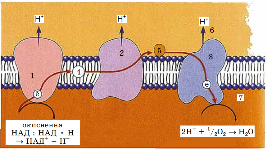 0200pz3e-3a34-860x482.png