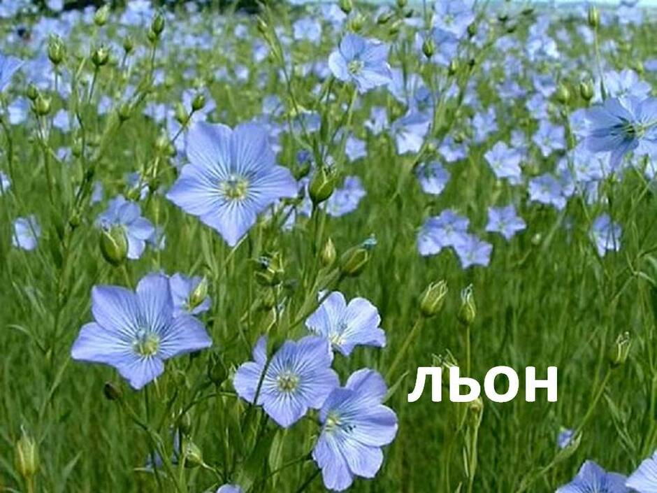 0200q1ms-eb0b-940x705.jpg