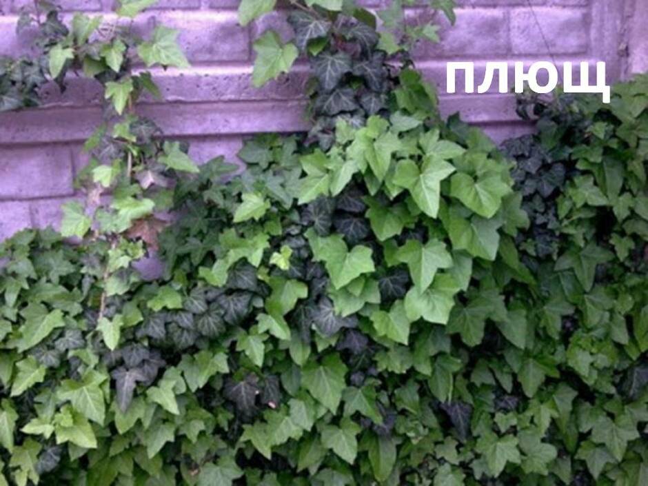0200q1n0-443c-940x705.jpg