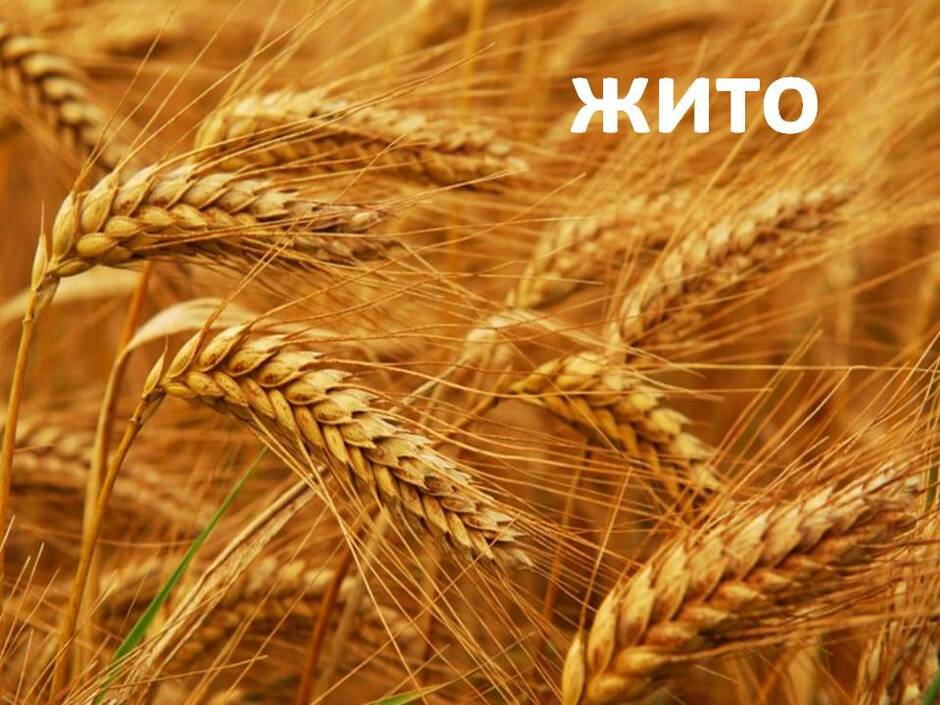0200q1o5-09cd-940x705.jpg