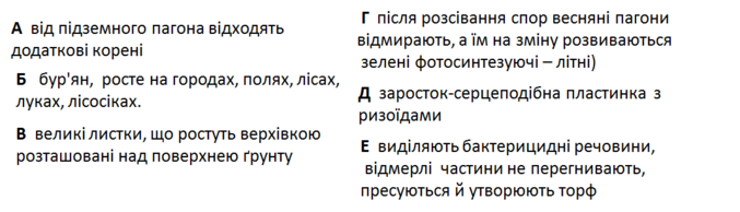 0200q2yn-12a8-677x194.png