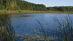  Тест "Озера. Штучні водойми"