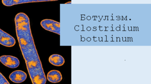Презентація на тему "Ботулізм . Clostridium botulinum"