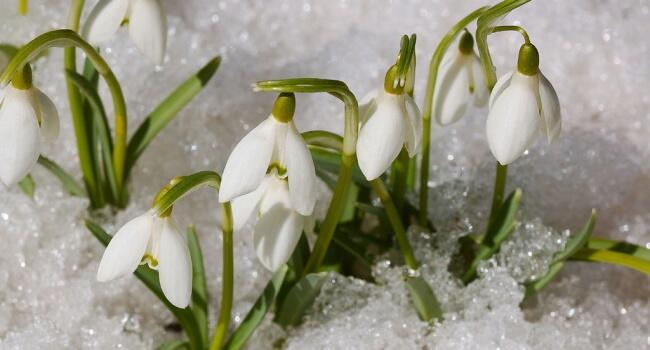 0200q95s-c292-650x350.jpg