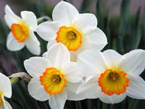 0200qa14-4014-209x157.jpg