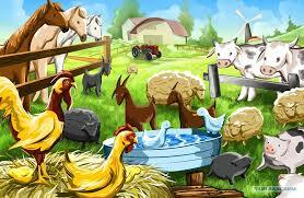 0200qa2w-8b07-376x245.jpg