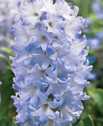 0200qg18-253d-203x247.png