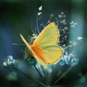0200qhbk-cd6a-109x109.png