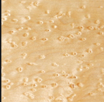 0200qhec-1f46-209x205.png