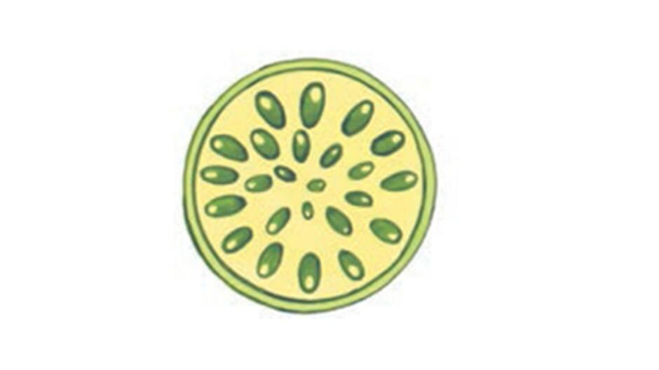 0200qhp9-728b-940x529.jpg
