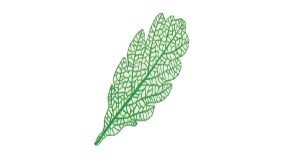 0200qhqg-2816-940x529.jpg