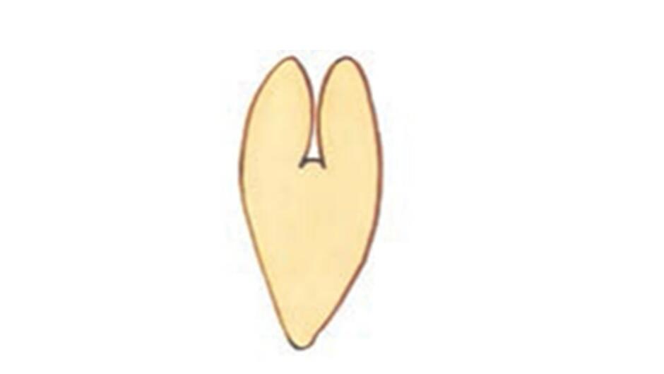 0200qhqi-faab-940x529.jpg