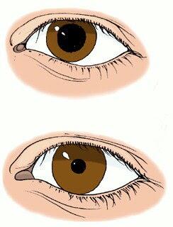 0200qhx9-0e2a-244x320.jpg