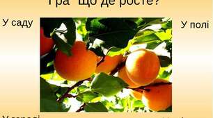 Дидактична гра Лото для малят
