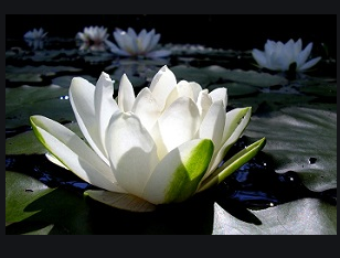 0200qjlb-7612-308x234.png
