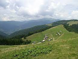 Карпати — Вікіпедія
