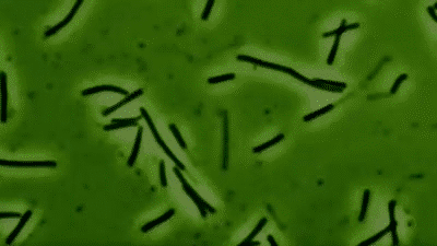 0200qjzx-9d90-400x225.gif
