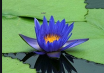 0200qkwj-7859-208x146.png