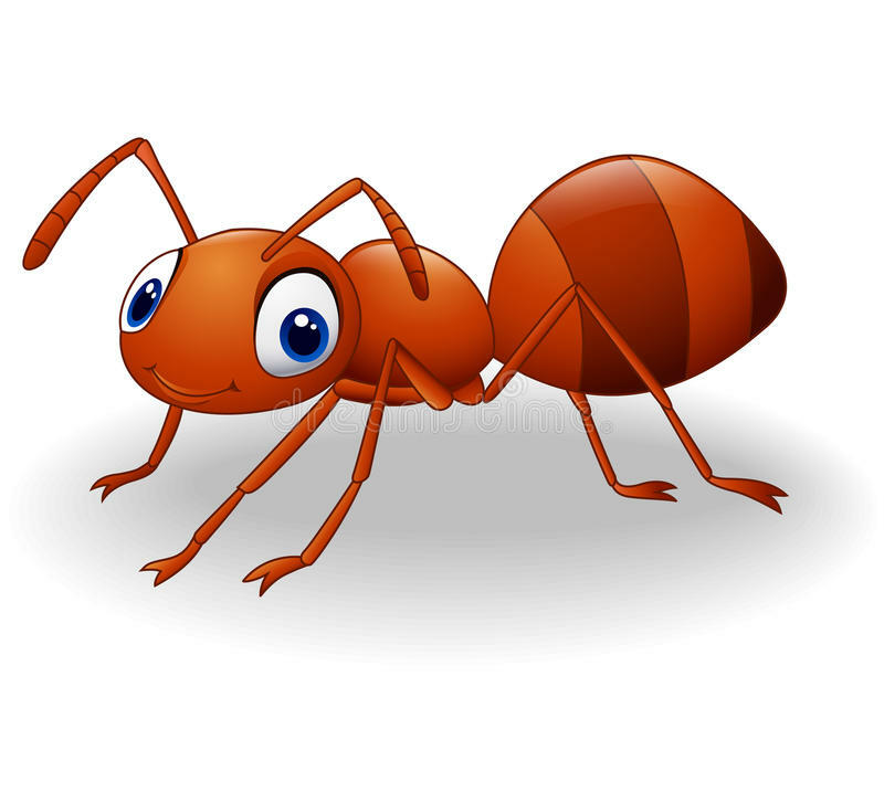 0200qm60-bf08-800x727.jpg