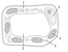 0200qn7u-c206-222x171.jpg