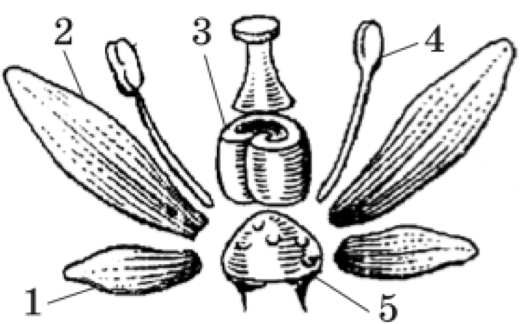 0200qn93-6747-748x466.png