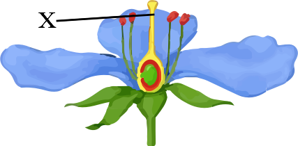 0200qn95-e2f1-427x210.png