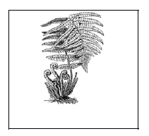 0200qnbt-a700-211x193.png