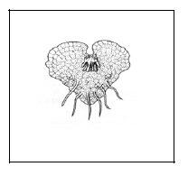 0200qnbv-822d-208x195.jpg