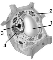 0200qneb-de90-187x213.jpg
