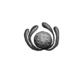 0200qneg-0056-262x263.png