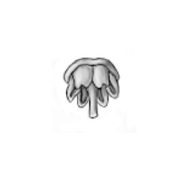 0200qnej-7207-268x266.png