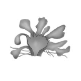 0200qnel-892d-265x268.png