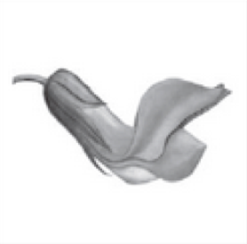0200qnf6-853c-278x275.png